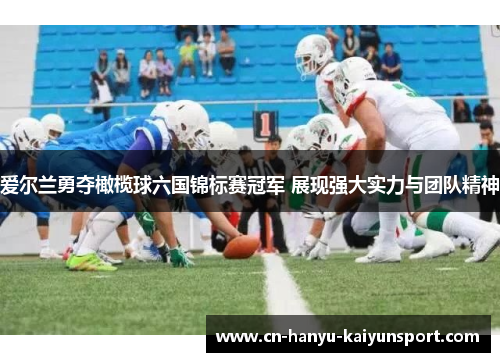 爱尔兰勇夺橄榄球六国锦标赛冠军 展现强大实力与团队精神