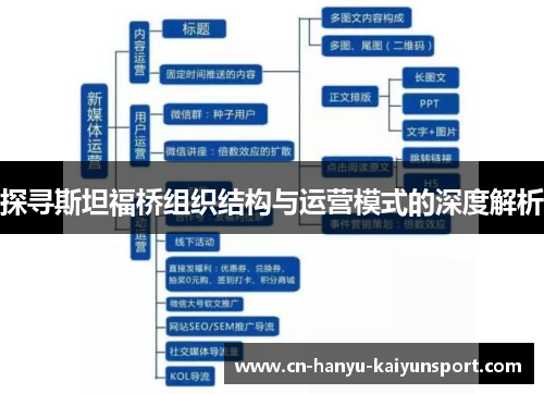 探寻斯坦福桥组织结构与运营模式的深度解析